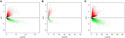 Prognostic lncRNAs, miRNAs, and mRNAs Form a Competing Endogenous RNA Network in Colon Cancer